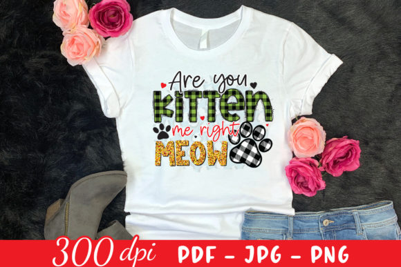 Are You Kitten Me Right Meow Cat PNG