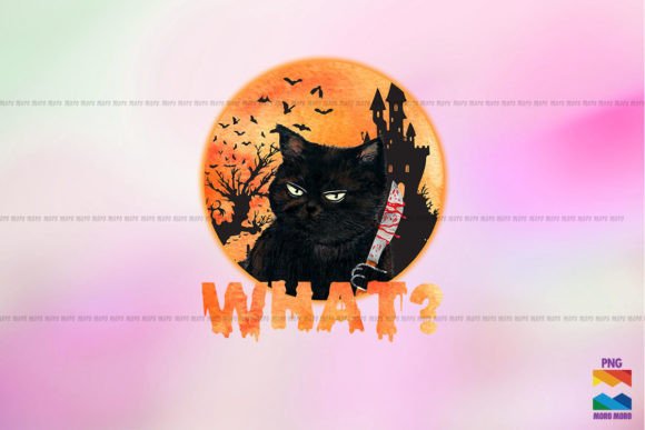What Black Cat Halloween